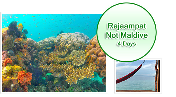 Rajaampat 4 days 3 Nights. Not Maldive