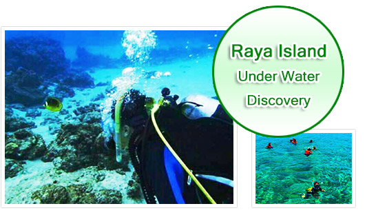 Racha Island Underwater Discovery