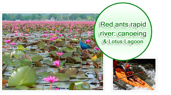 Red Ants Rapid River + Lotus & Birds Lagoon