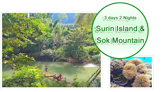 Surin Island & Sok Mountain