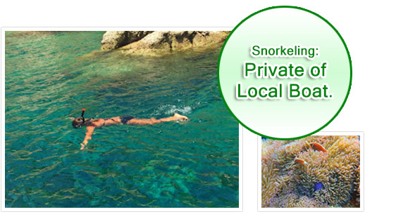 Snorkeling: Private of Local Boat.