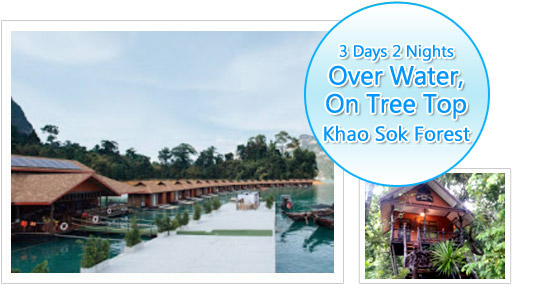 Over water, on tree top 3 Days 2 nights: Khao Sok forest