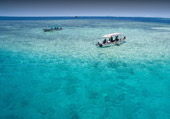 One Day Tour Snorkeling Raja Ampat