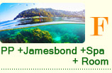 PP + Jamesbond + Spa + Room