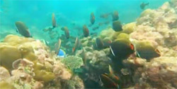 Khao Na Yak : Snorkeling & Beach Khao Na Yak : Snorkeling & Beach