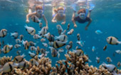 Yachting Day to Racha and Coral Islands